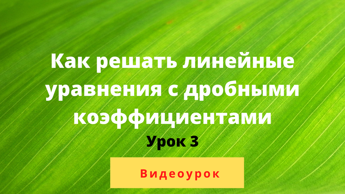 Поговорим сегодня о "страшных" уравнениях, которых ученики боятся.
Это уравнения с дробными коэффициентами.