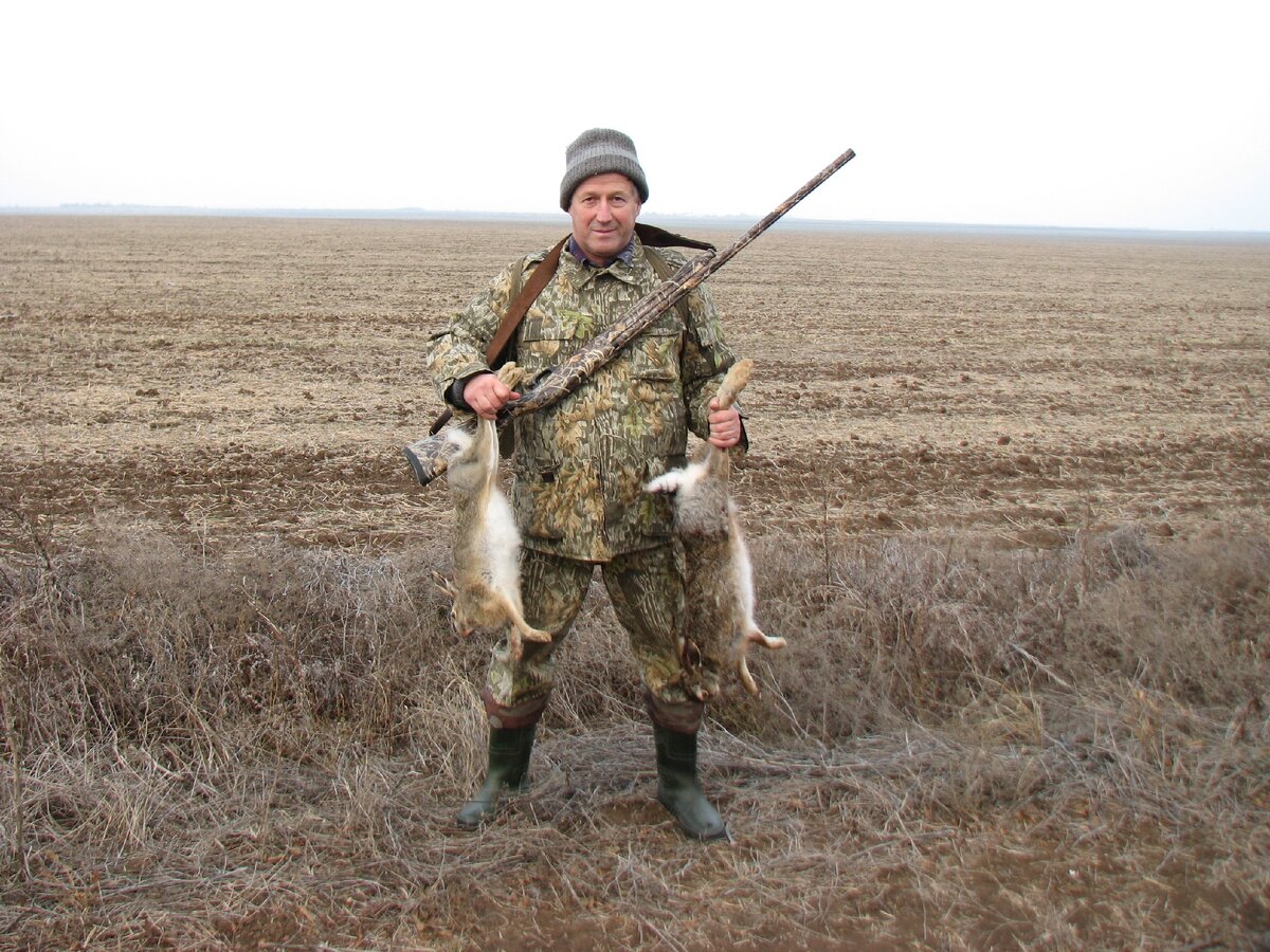 Сроки охоты в приморском крае. Охота на зайца в Свердловской области. Охота на зайца в Московской области. Охота на Зайцев в Волгограде. Охота на зайца в Краснодарском крае 2022 году.