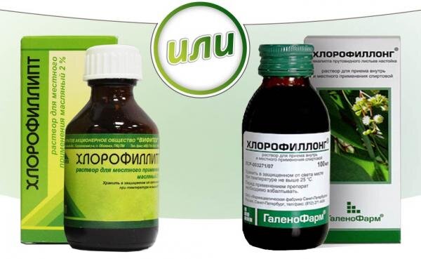 фото: https://kcdc.ru/desny/hlorofillipt-kak-poloskat.html