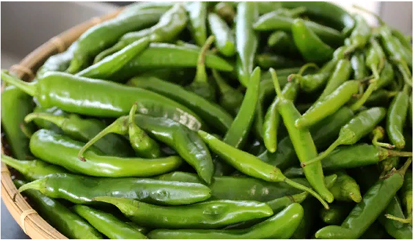 Зеленый перец чили