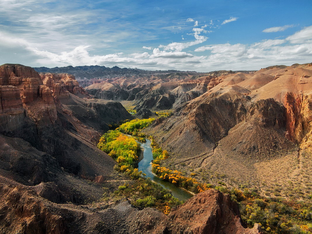 Фото взято из Яндекс   