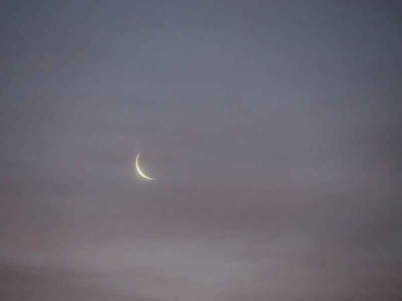 Источник фото: https://www.instagram.com/p/CJ0OekmDFXt/