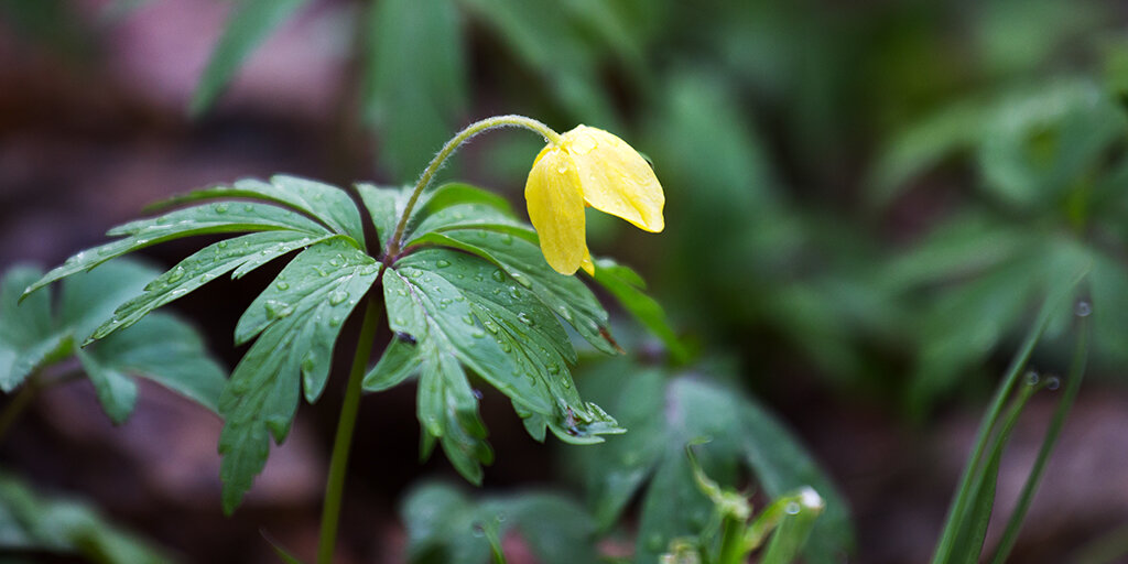 Фото Романа Шкловского