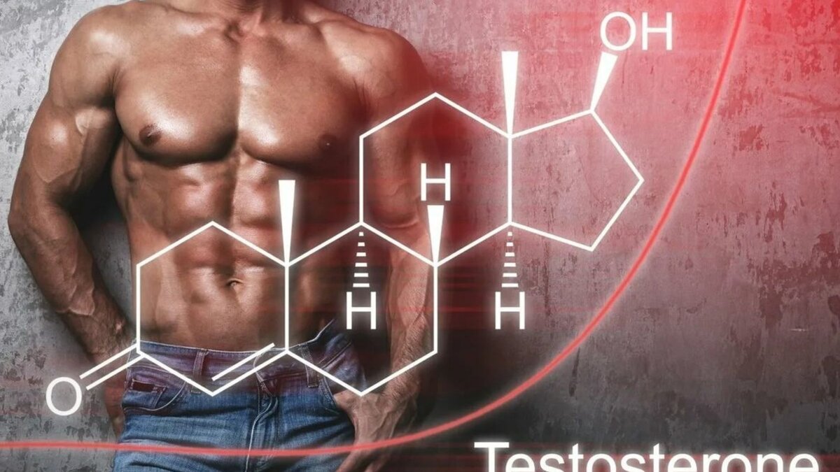 Фотография из сети интернет