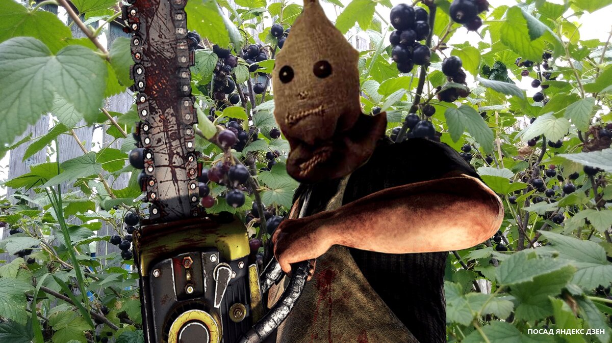 Гиперактивный дачник в своём саду.