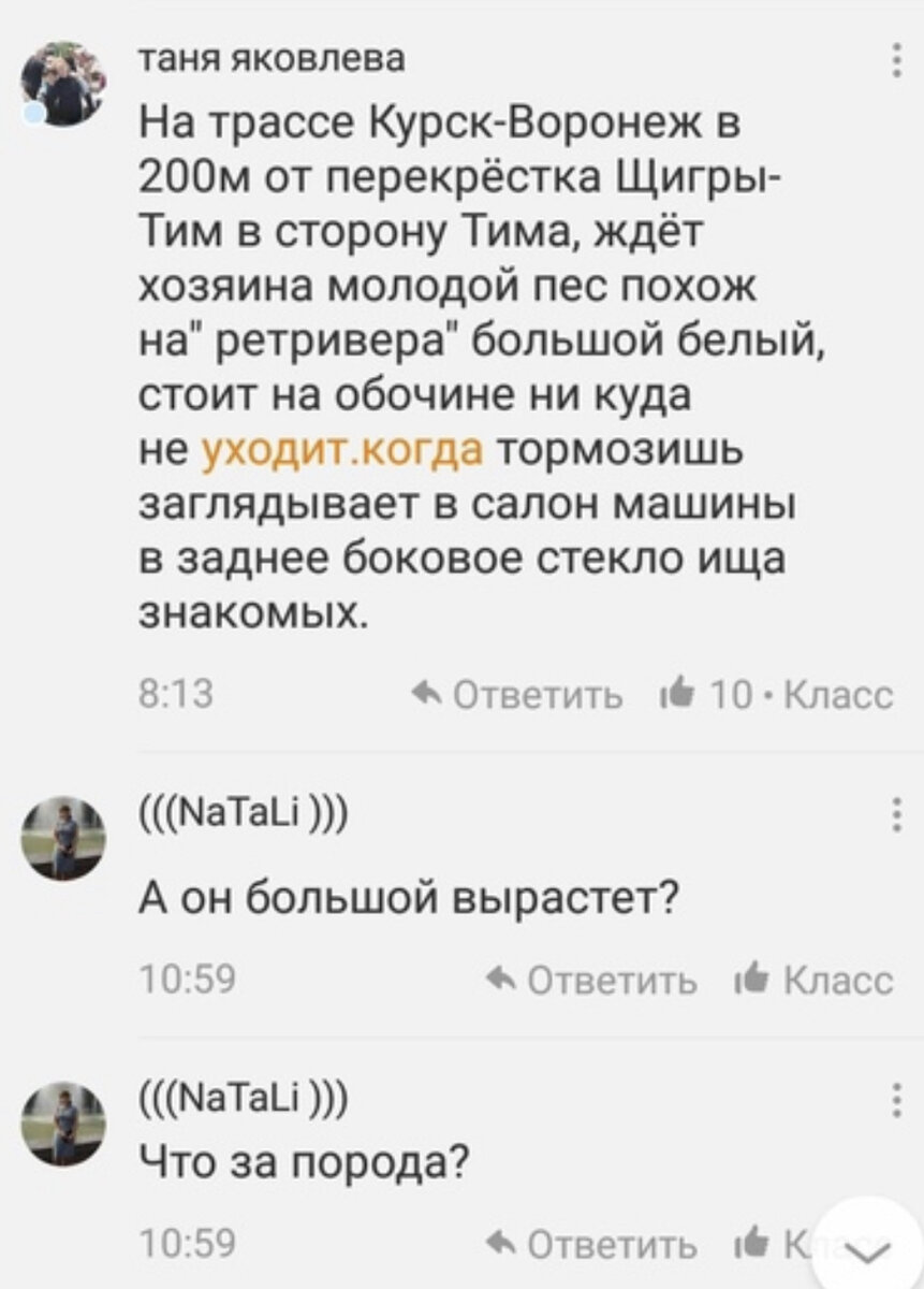 Скрин комментария, с которого все началось