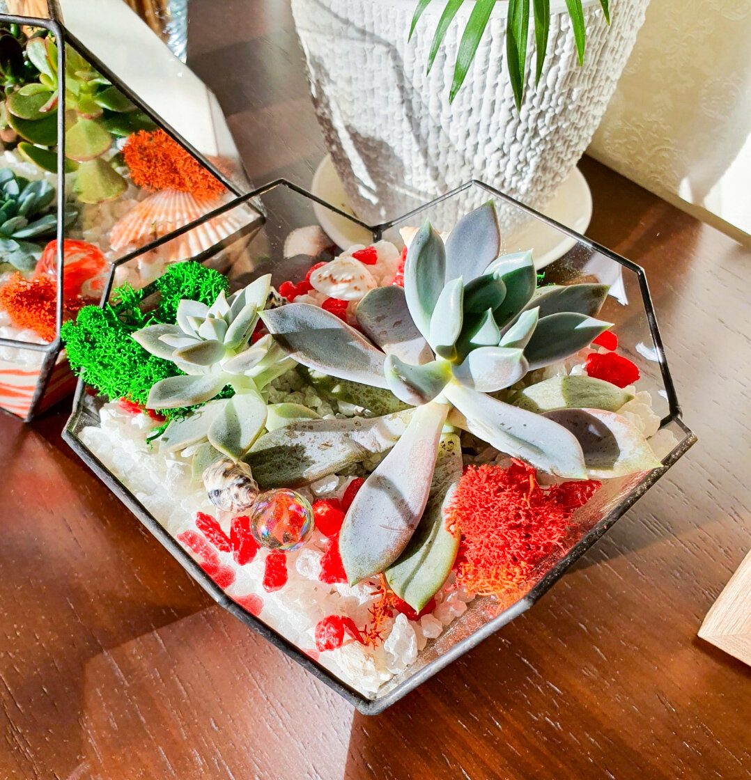 Ну красота же получилась, не?