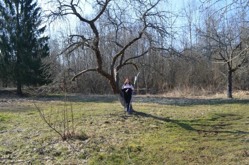 Обрезала яблоню прошлой весной.