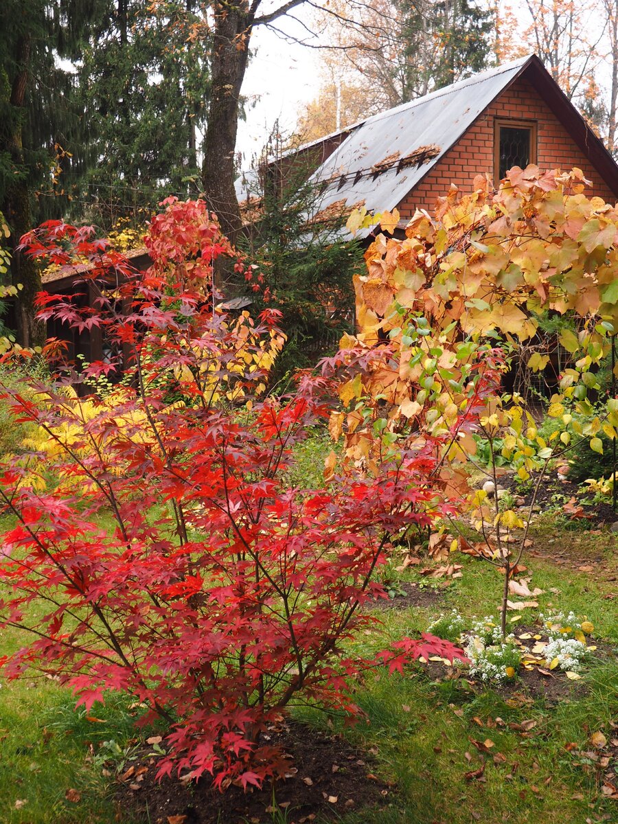 Фото автора.