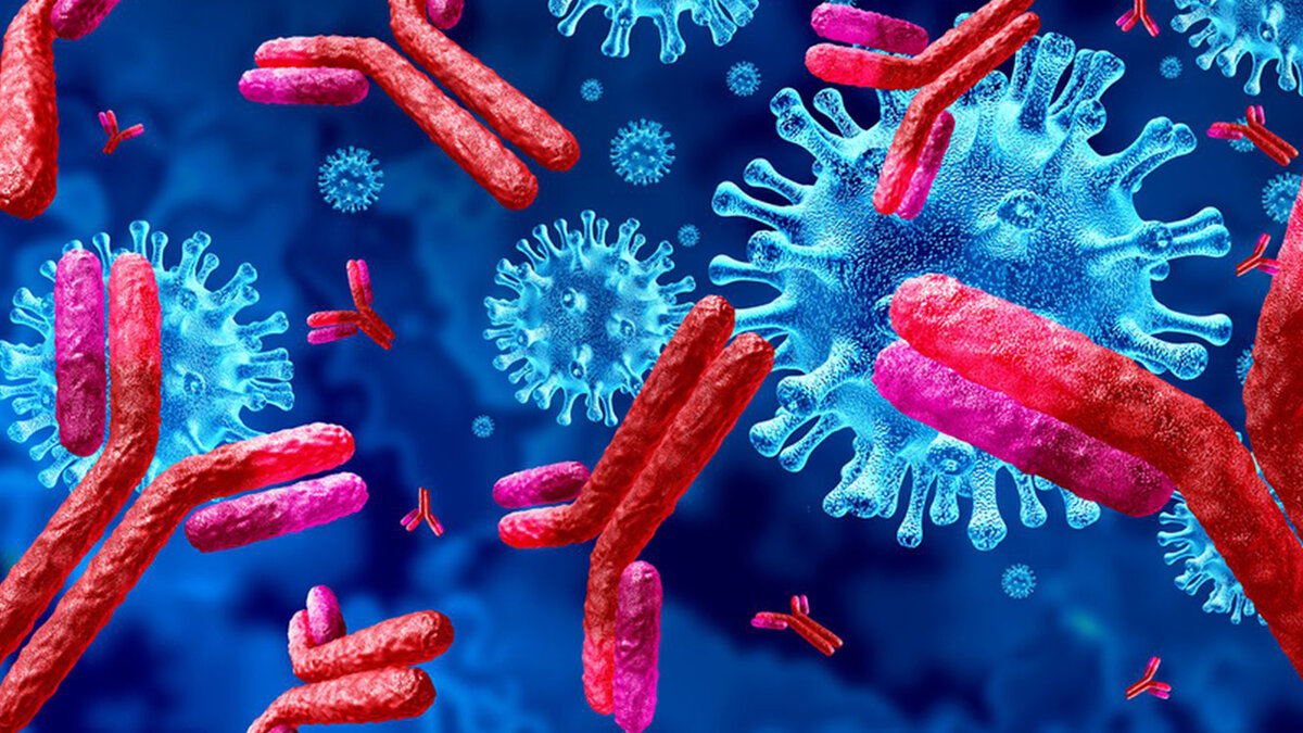 Каждому из нас нужны анти-тела...