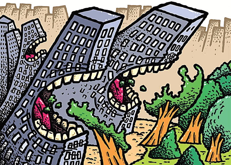 Рисунки символы проблема исчезновения тропических лесов