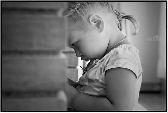 Фотозаставка из интернета