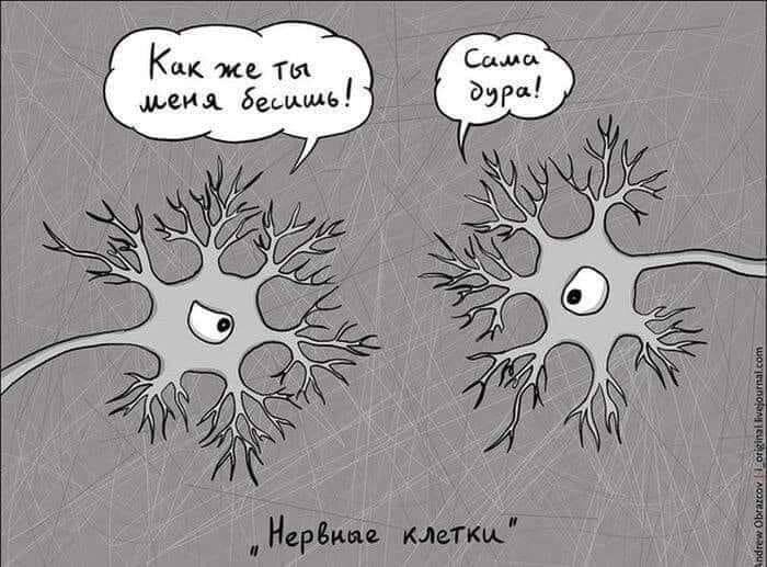 взято из открытого источника