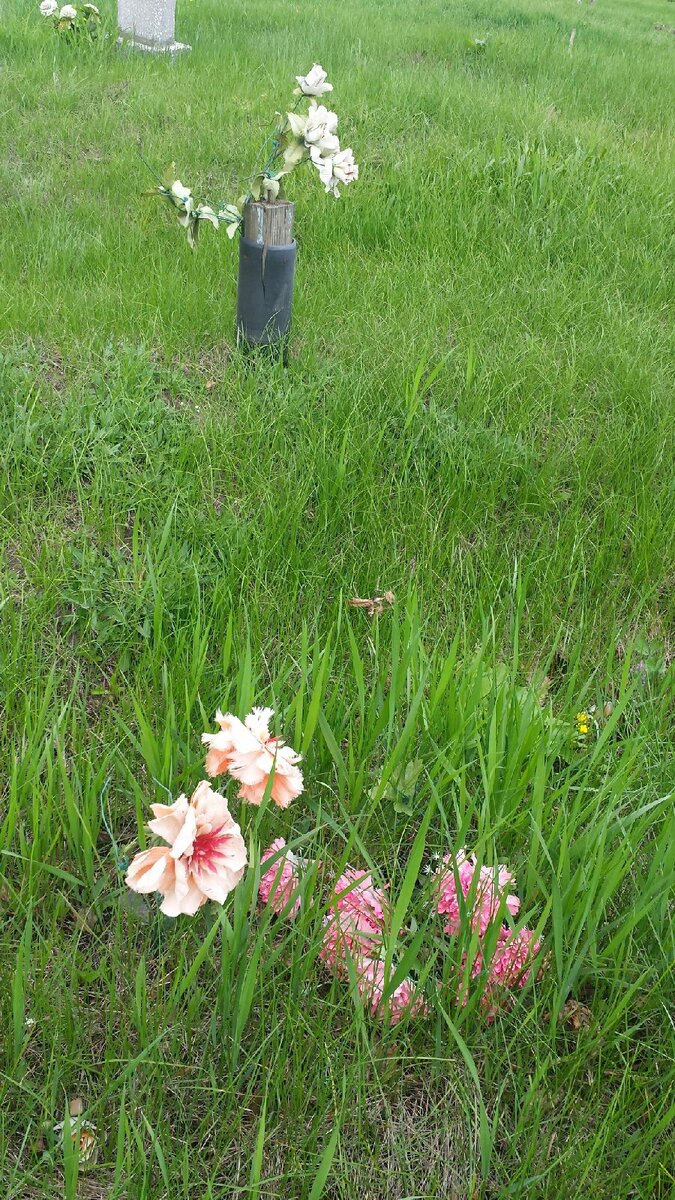 ПАМЯТЬ НА СТАРОМ БЕЛГОРОДСКОМ КЛАДБИЩЕ. ЗЕЛЕНАЯ ТРАВА, БЕЛЫЙ КРЕСТ И  КРАСНЫЙ КИРПИЧ. Сегодня Радоница, день поминовения усопших. | Андрей Токов  | Дзен