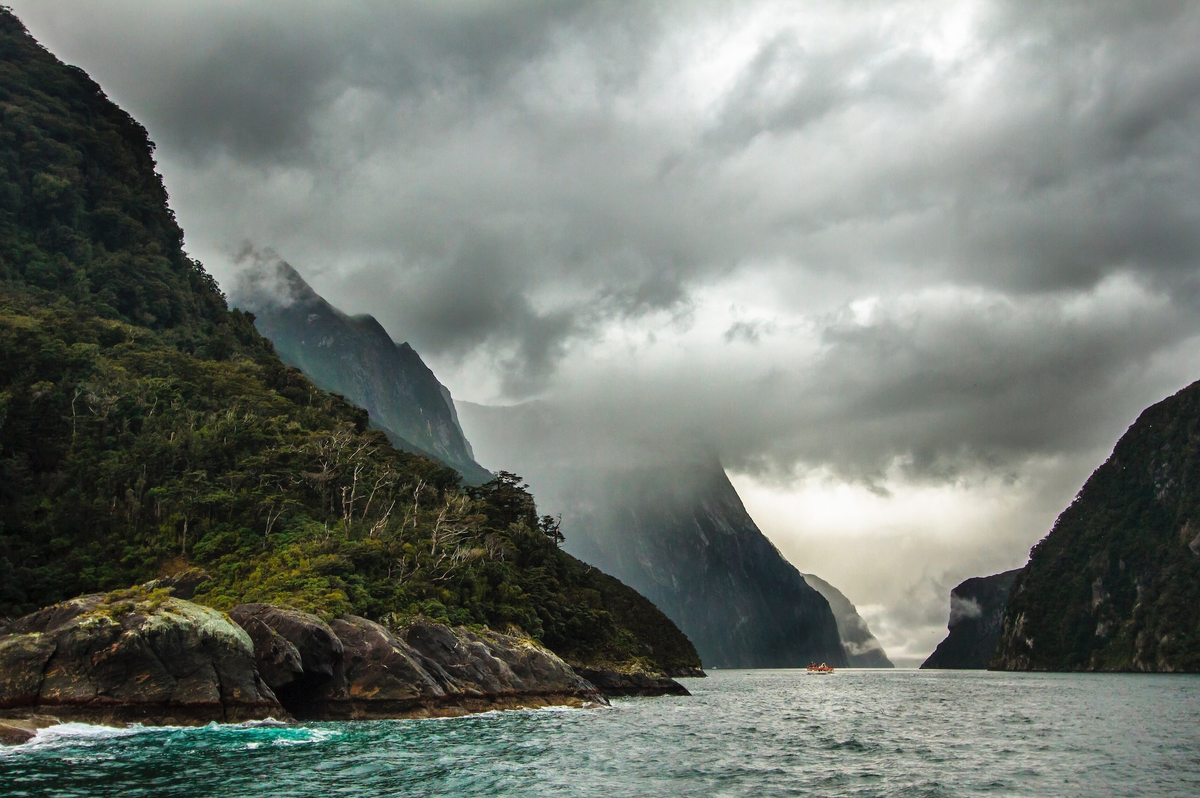 Фото: Adam Edgerton / Unsplash