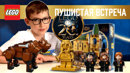 Timka LEGO Harry Potter set 76387 (Hogwarts: Fluffy Encounter / Хогвартс: Пушистая встреча).