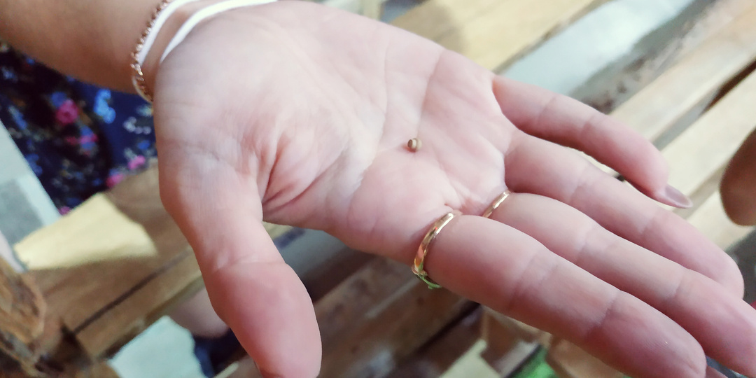 Где живет самая маленькая матрёшка? Почему бычок качается? И много ещё интересного вы узнаете на Лавровской фабрике деда Мороза