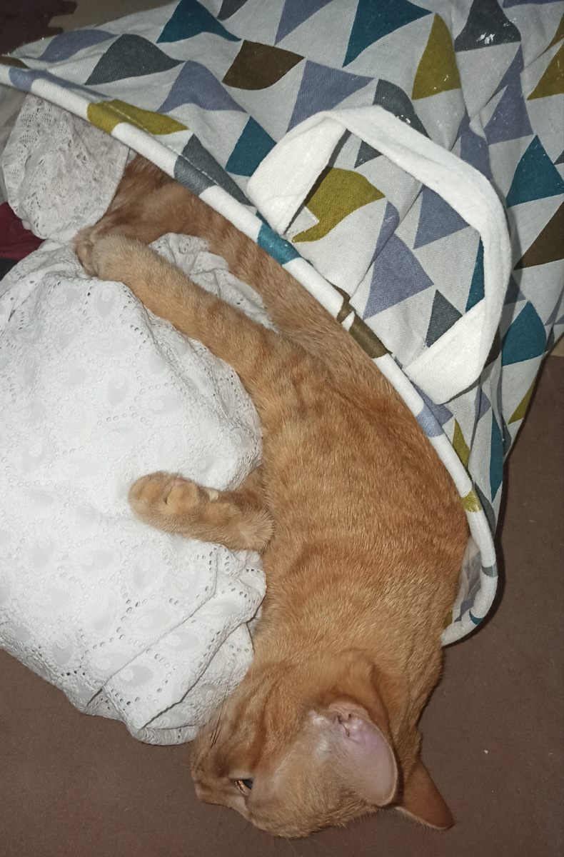 Перевернул корзину))