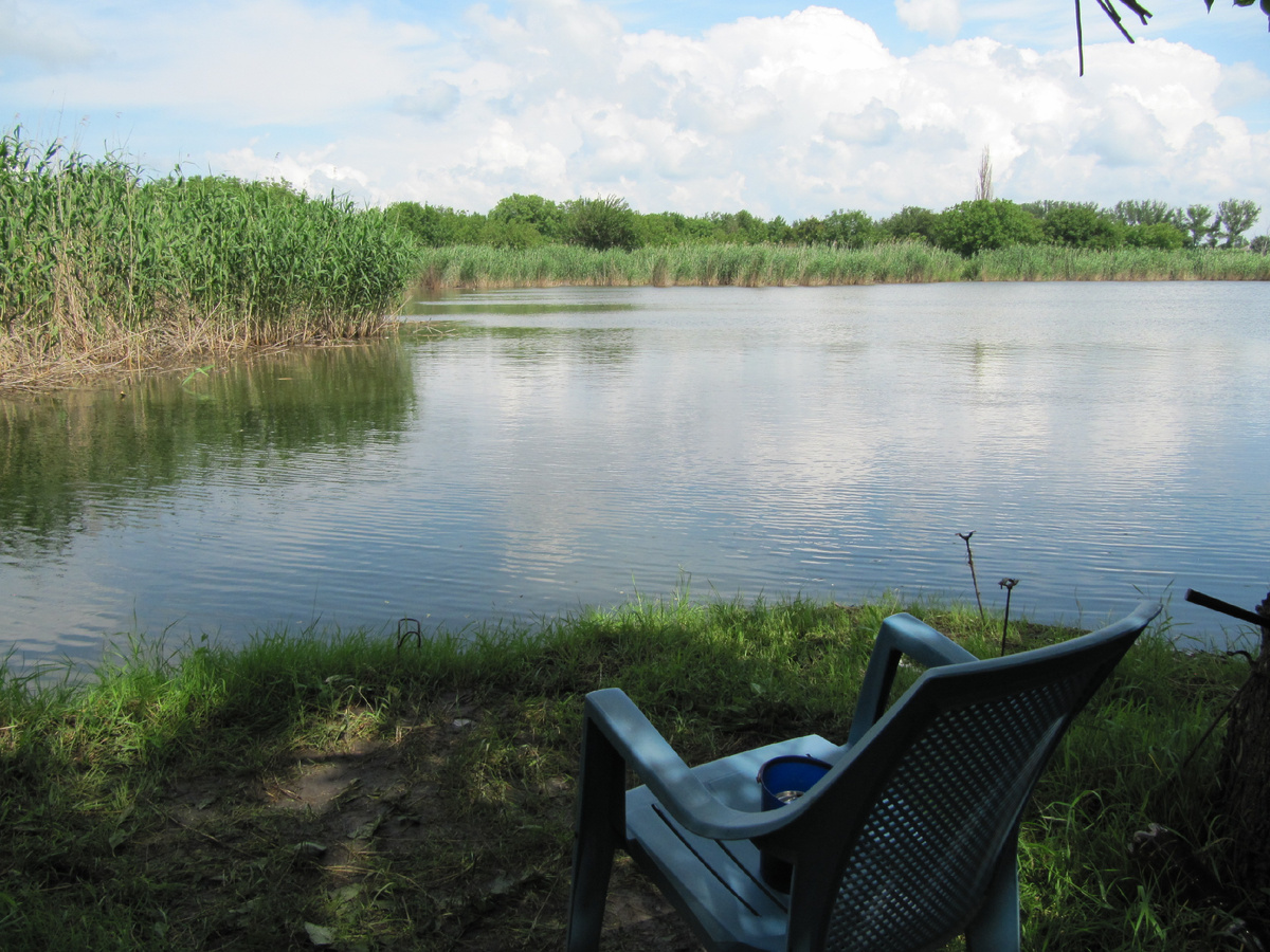 наш берег реки 