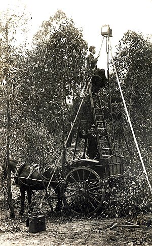 Фотографы, наблюдающие за птицами, Новый Южный Уэльс, июнь 1921 года. Фотография из открытого источника. 