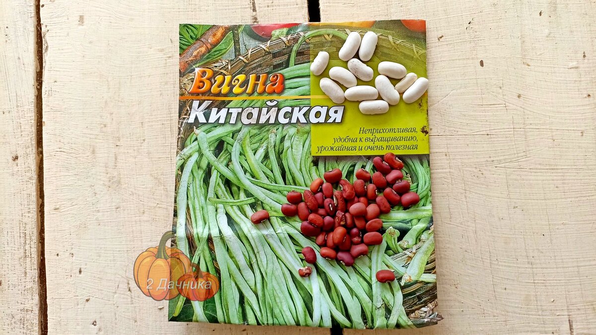 Фасоль Вигны Китайской в 2 раза меньше фасоли спаржевой.