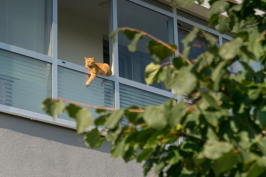 Рост цен на квартиры побил семилетний рекорд