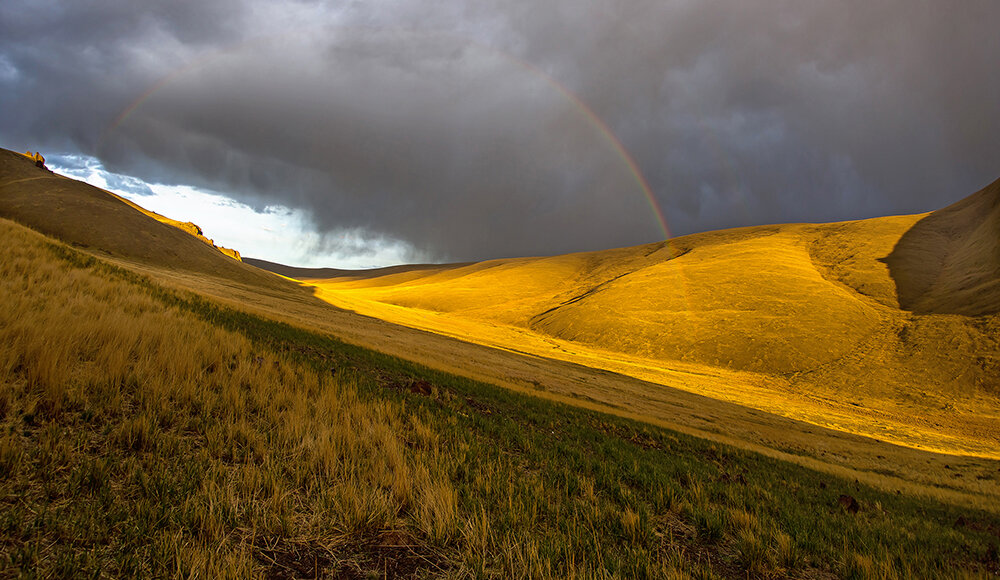 Фото для статьи предоставил фотоархив Национального парка «Сайлюгемский»
