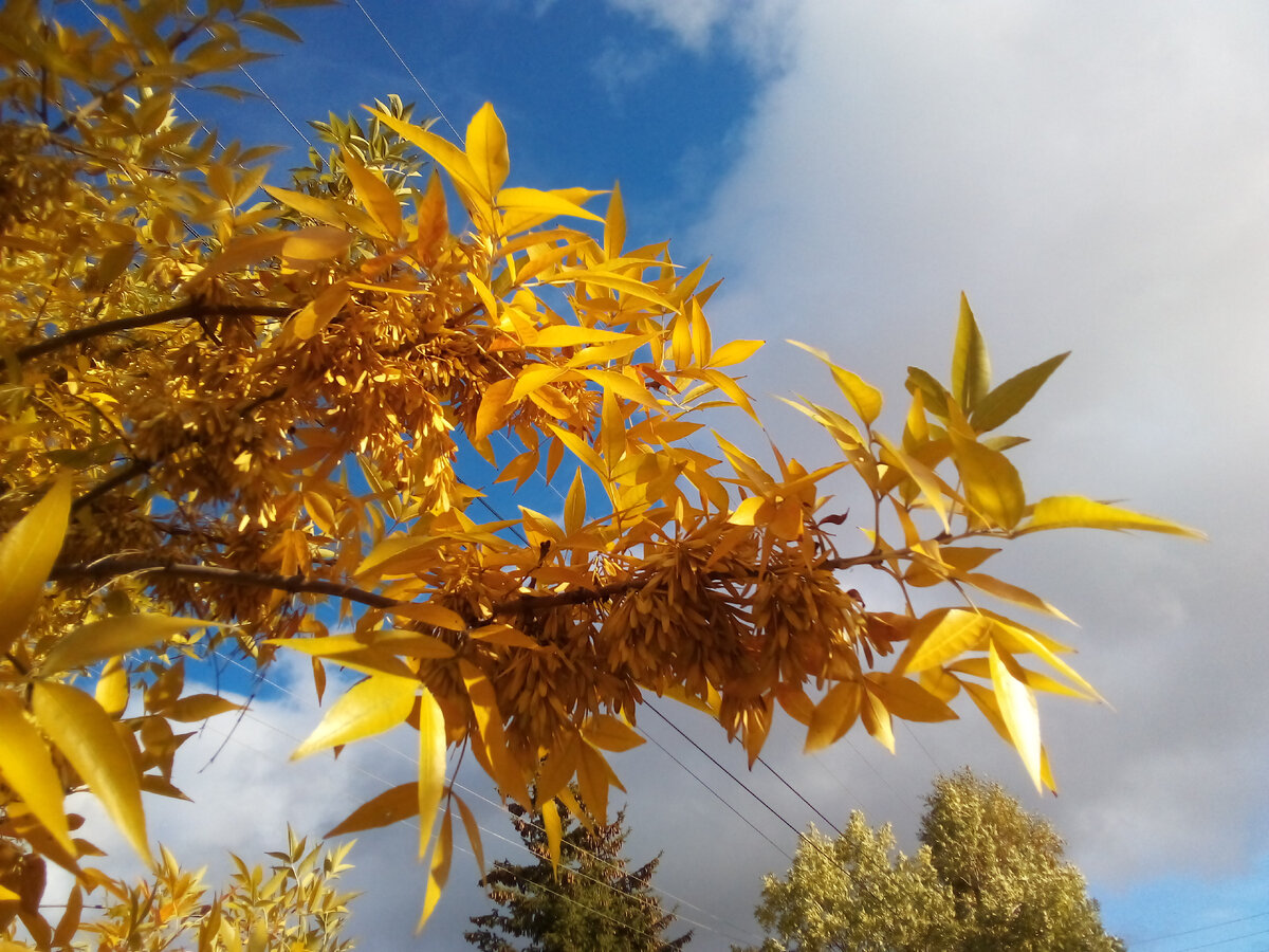 Волшебная фотка