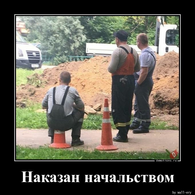 картинка яндекс