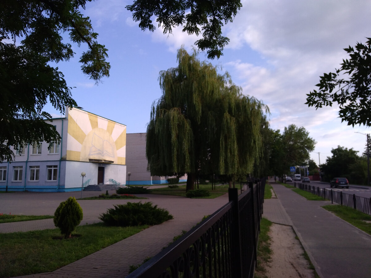 Ивы здесь, вероятно, своевременно постригают, придавая им оригинальный вид