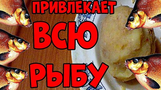 Прикормка на карася - лучшие рецепты - Клуб Маямi