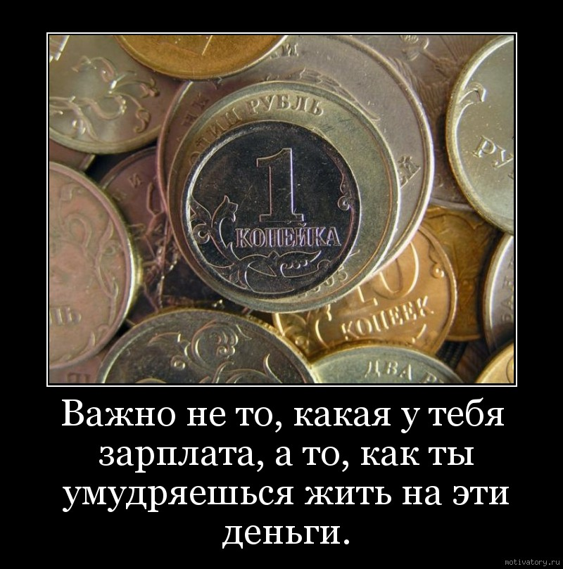 Приколы про деньги и зарплату. Смешные фразы про деньги. Маленькая зарплата демотиваторы. Монета демотиватор.