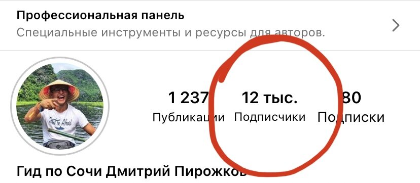 До того, пока не началась атака, подписчиков было 10700. За 1 час 10 минут их стало на 1300 больше. Такой результат прироста могут дать только блогеры милионники и то не факт или Reels'ы залетевшие в ТОП.