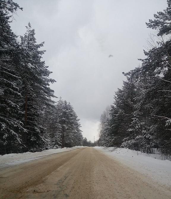 "Не спеши выходить на дорогу: неизвестно куда она тебя заведет" - Бильбо