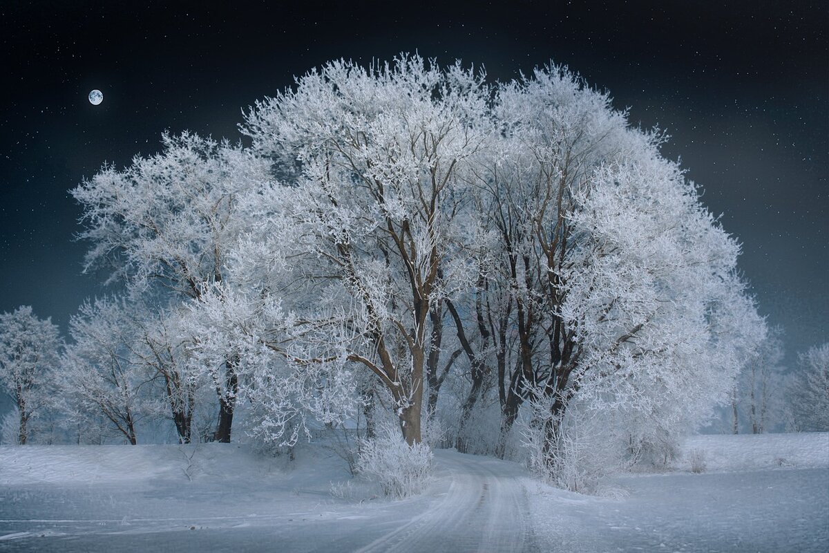 Фото с Pixabay.