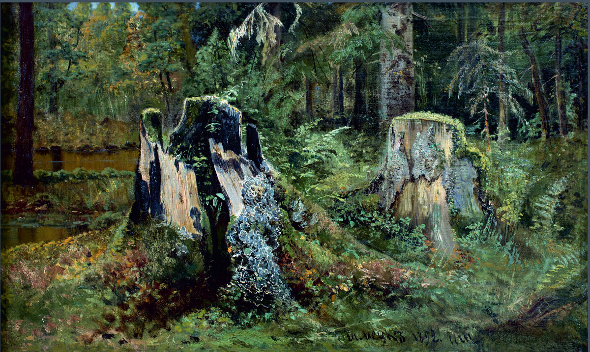 Шишкин И.И. «Пейзаж с пнем» 1892г. 