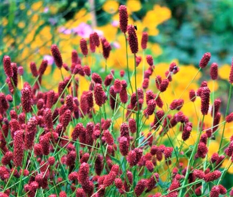  Листайте галерею. Фото с сайта: https://clck.ru/cHJ9J