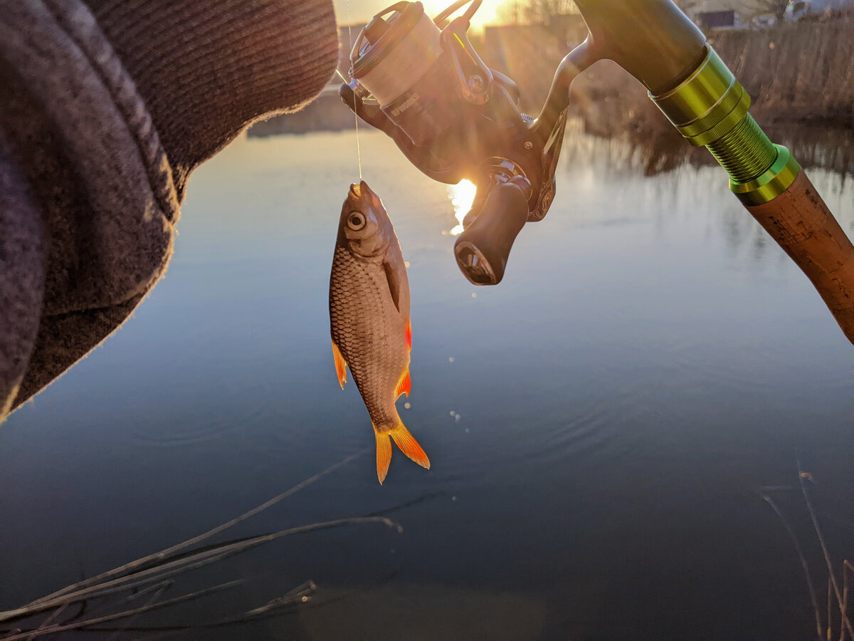 Карасунские озера г. Краснодар рыбалка в апреле | Fishingeer | Дзен