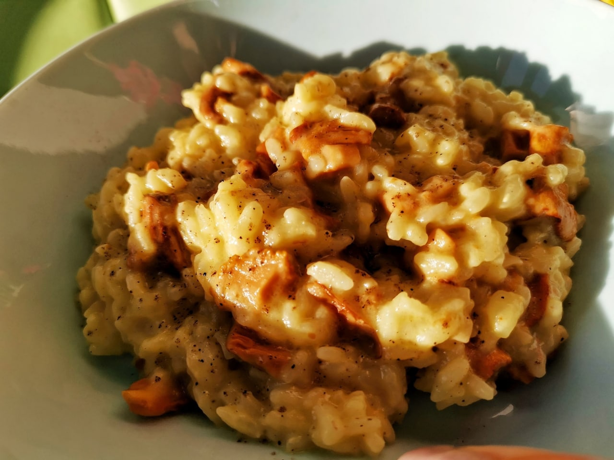 Пример приготовленного ризотто с грибами