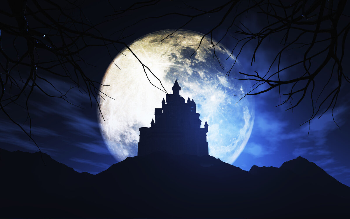 https://ru.freepik.com/free-photo/full-moon-on-halloween-night_951021.htm#query=%D0%B7%D0%B0%D0%BC%D0%BE%D0%BA&position=0&from_view=search
