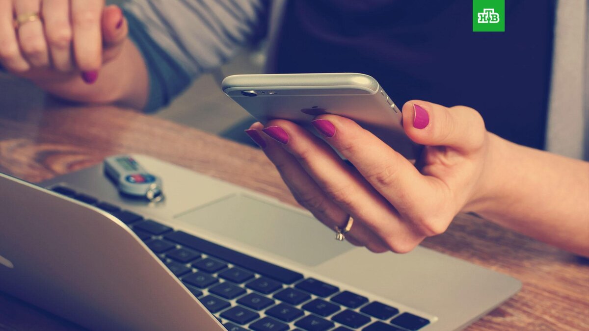    Фото: unsplash.com