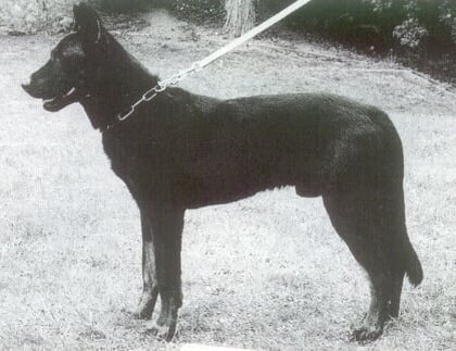 Jouan du Murier de Sordeille