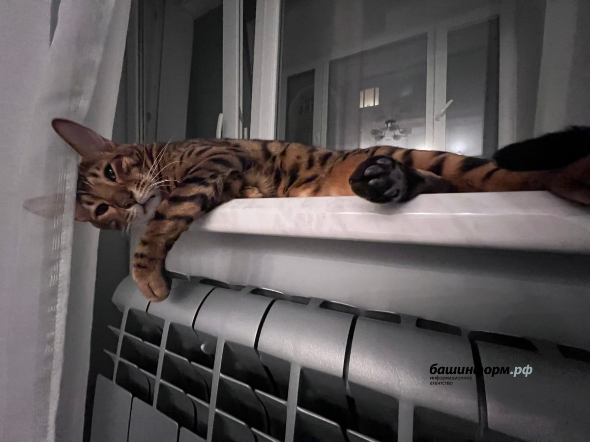 Фото:Ксения Калинина