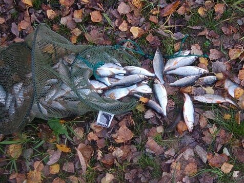 Фото: Яншевского Андрея.