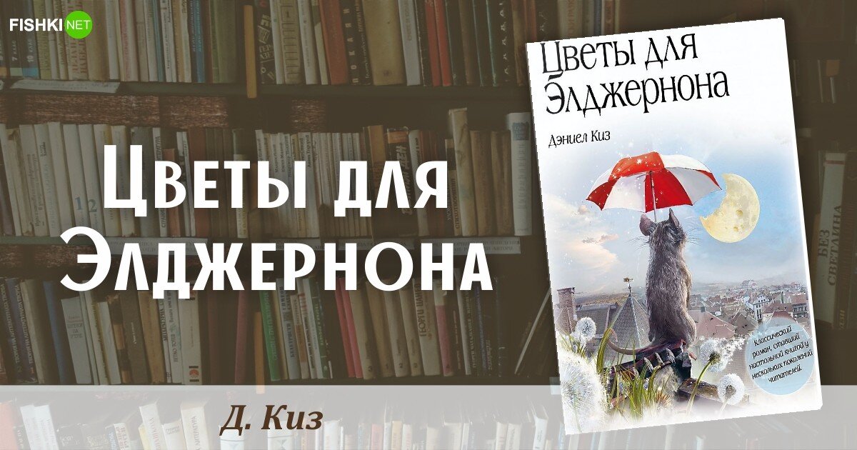 Книга про выбор