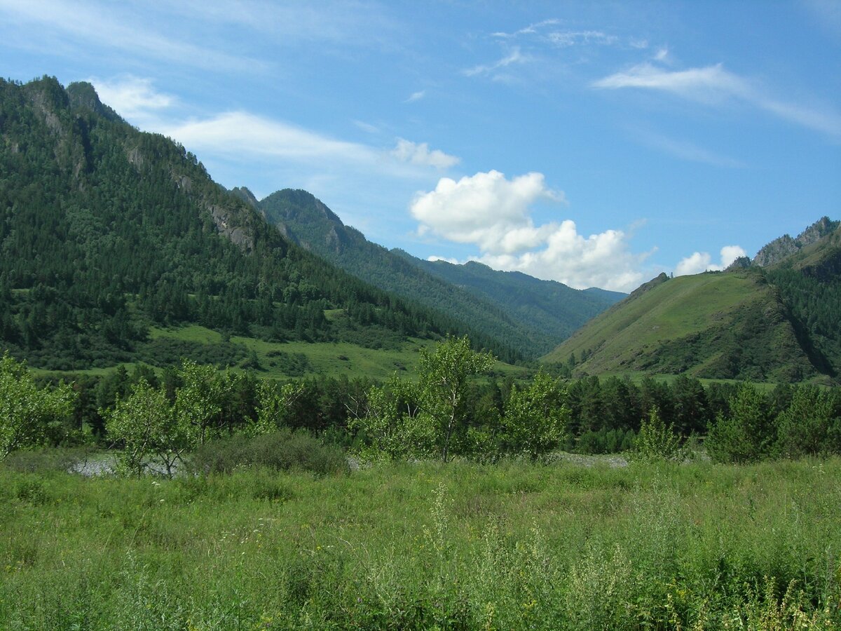 Ставьте лайки и подписывайтесь на мой канал!