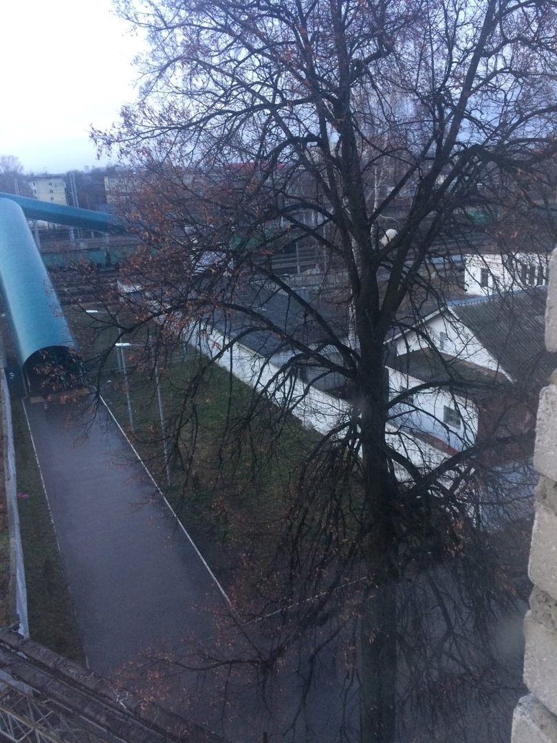 Фото Толочко Дмитрий. 