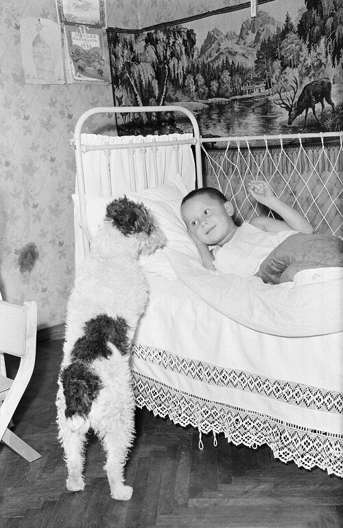 Вот примерно такая у нас с братом была кровать, только  пошире.