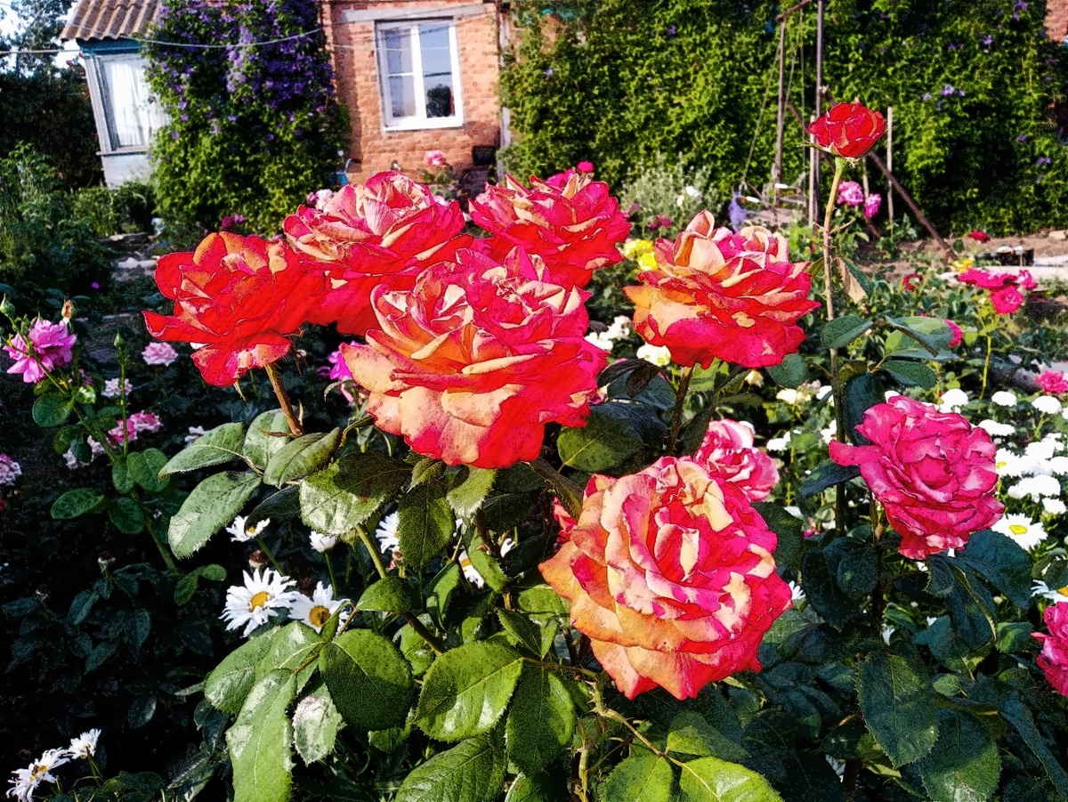 Фото автора.