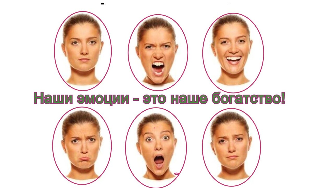 Источник  www.shutterstock.com